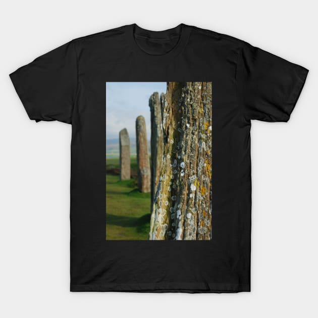 Ancient Sentinels T-Shirt by RichardGibb